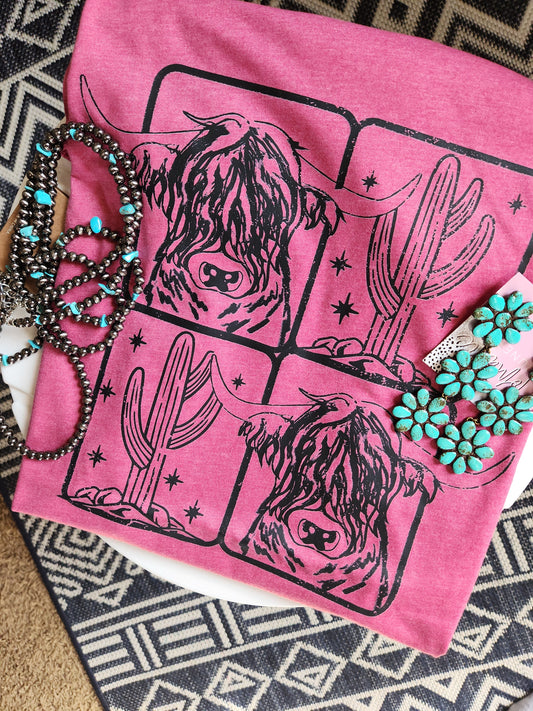 Heifer and cactus 🌵